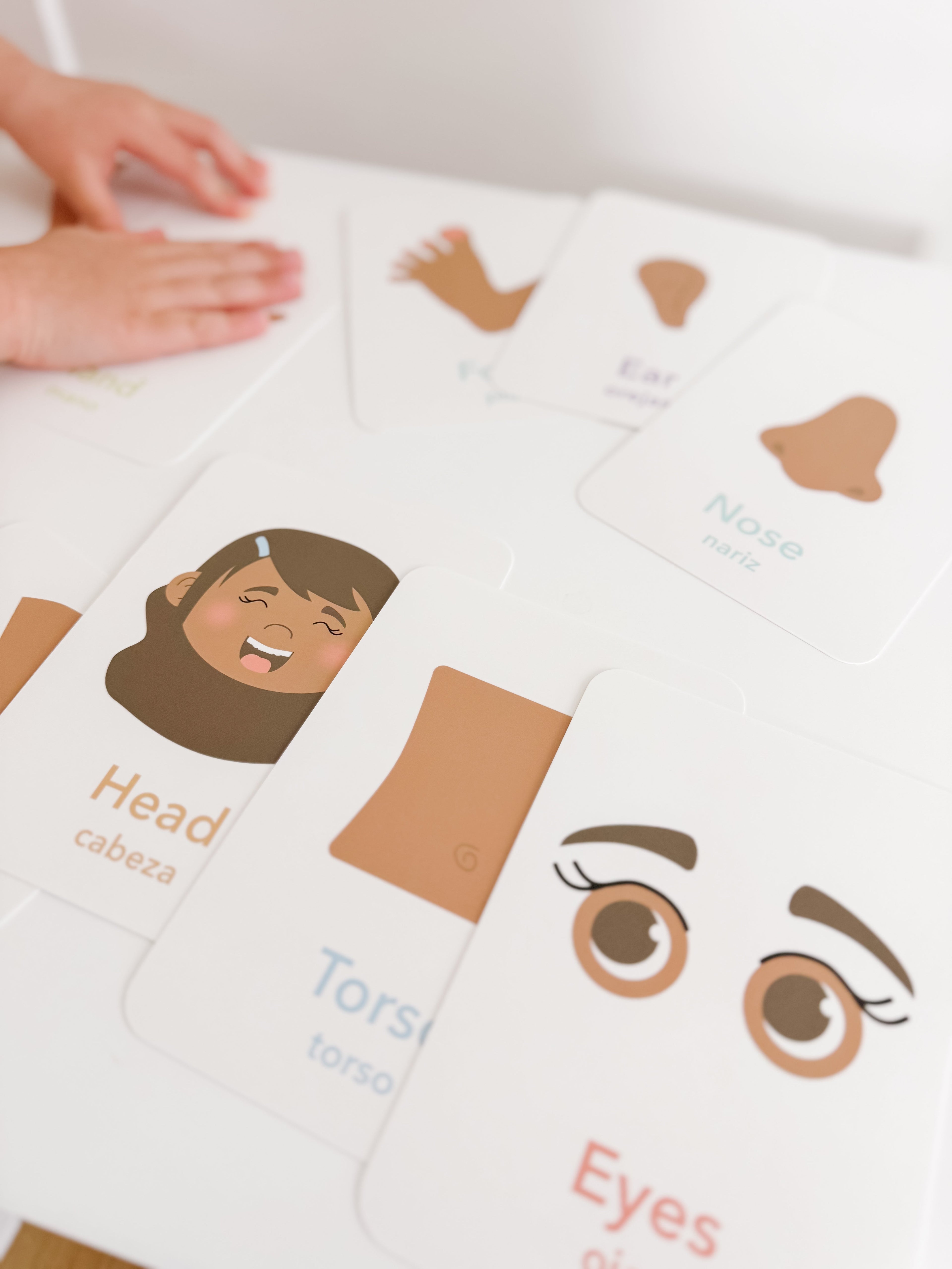 Body Parts Flashcards